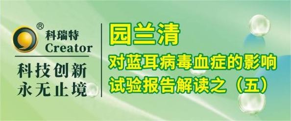 養(yǎng)殖技術(shù) | 園蘭清對PRRSV攻毒仔豬保護試驗綜合解讀-試驗報告解讀之五